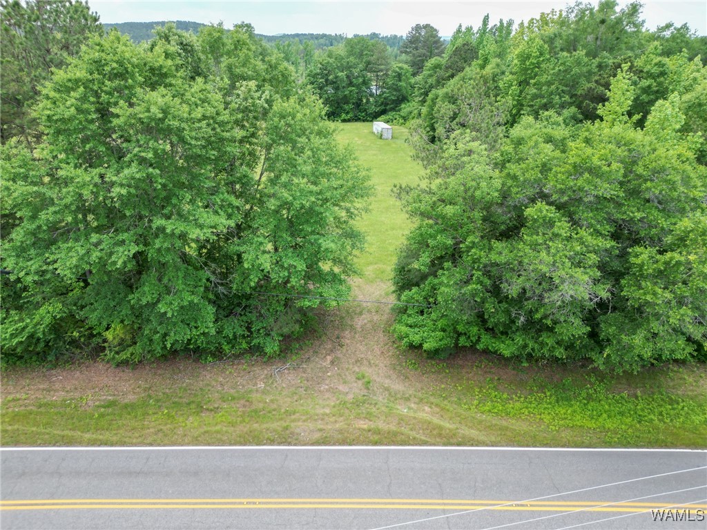 Montgomery Highway, Centreville, Alabama image 27