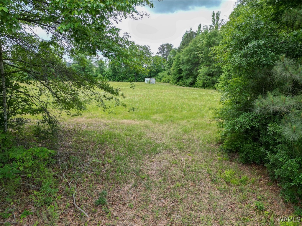 Montgomery Highway, Centreville, Alabama image 26