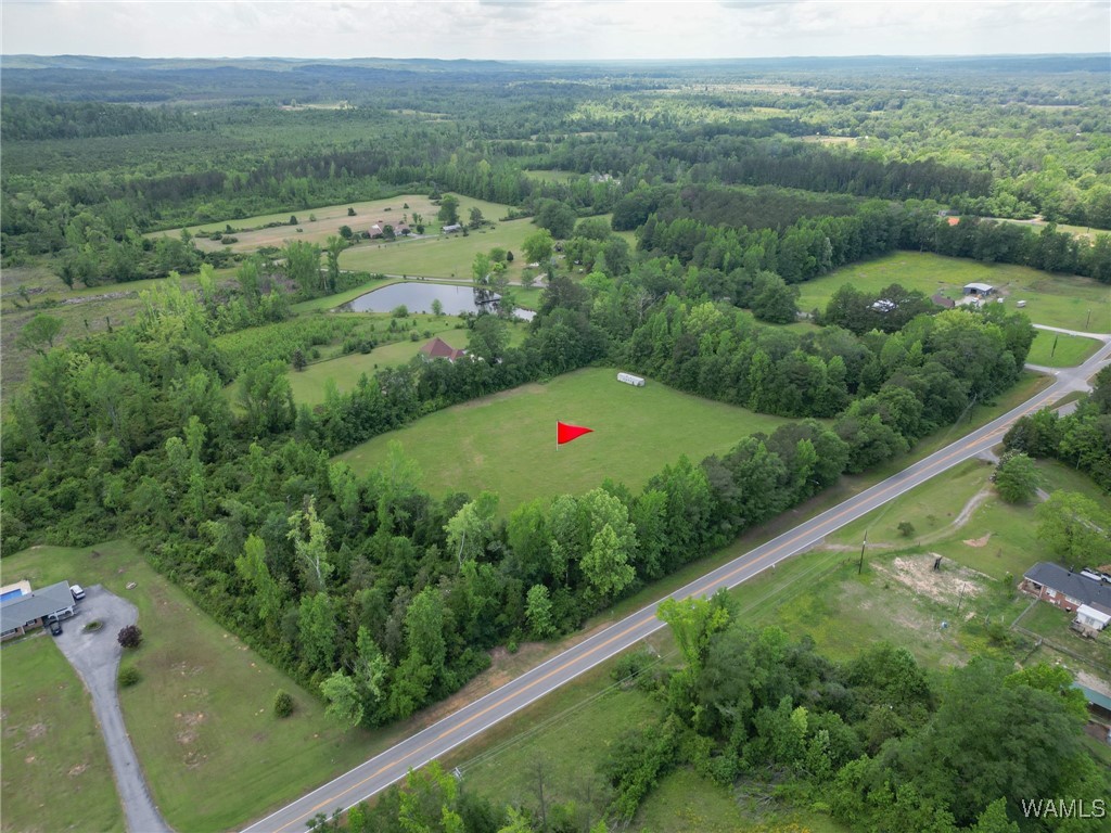 Montgomery Highway, Centreville, Alabama image 17