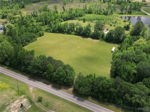 Vacant Land For Sale - Montgomery Highway<br/> Centreville, AL 35042
