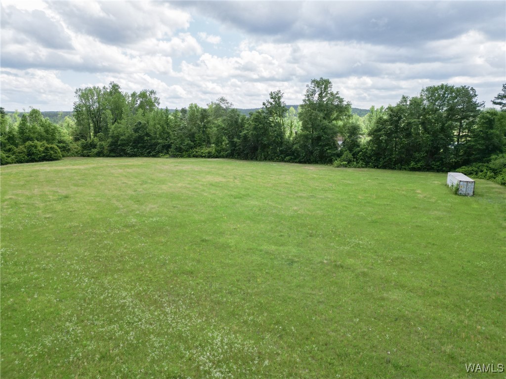 Montgomery Highway, Centreville, Alabama image 6