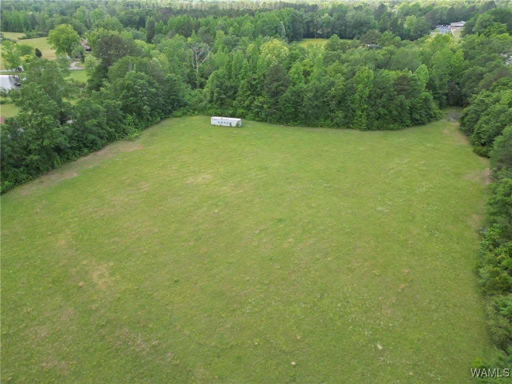 Montgomery Highway, Centreville, Alabama image 19