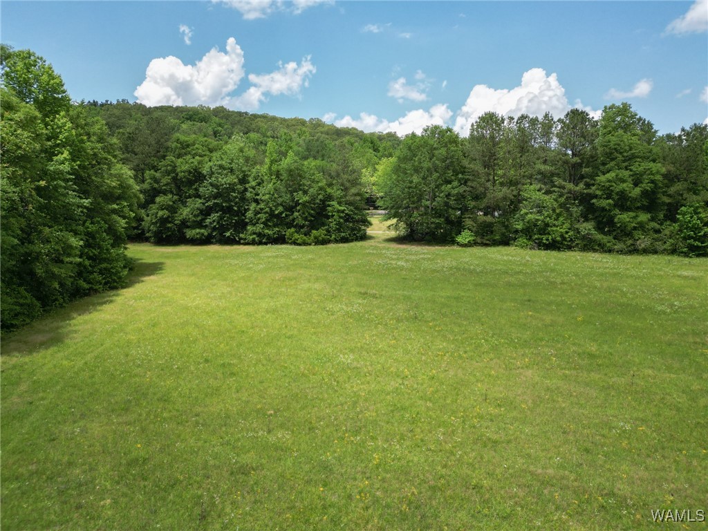 Montgomery Highway, Centreville, Alabama image 24