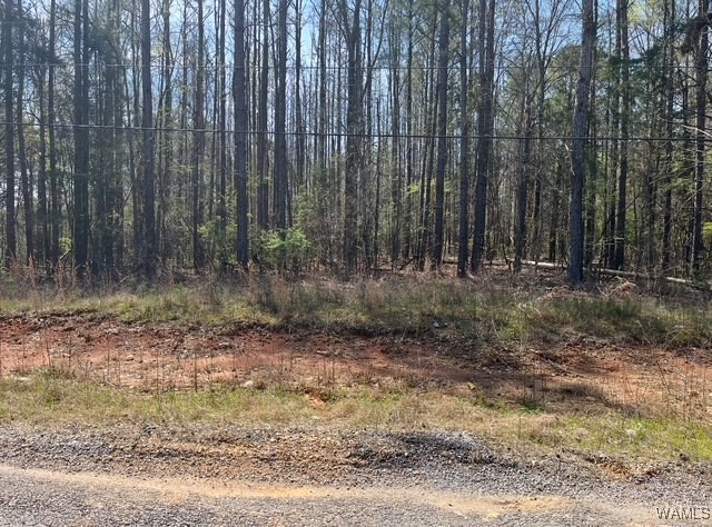 186 Underwood Road, Brent, Alabama image 1