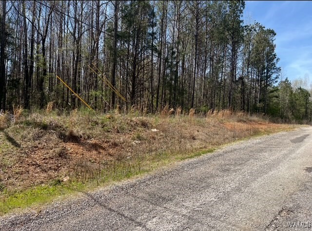 186 Underwood Road, Brent, Alabama image 2