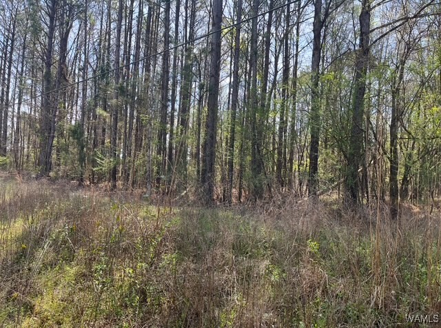 186 Underwood Road, Brent, Alabama image 3