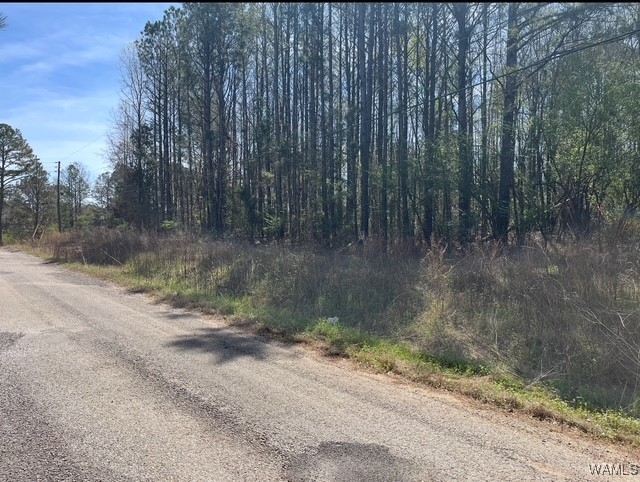 186 Underwood Road, Brent, Alabama image 4