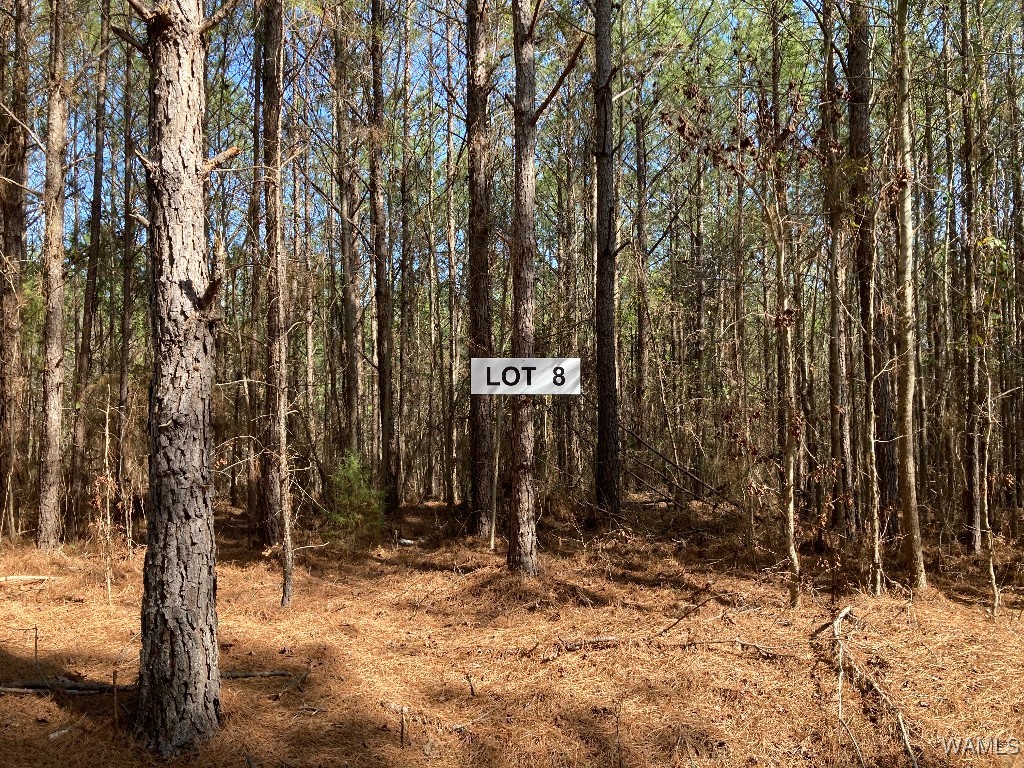 7 Tilly Branch Road, North Port, Alabama image 2