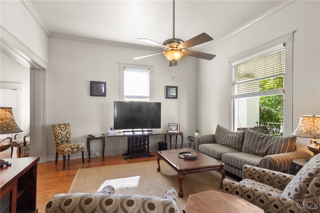 1506 13th Street, Tuscaloosa, Alabama image 6