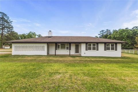 13366 Highway 11 Fosters AL 35463