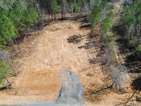Vacant Land For Sale - LOT 8 John Swindle Rd<br/> North Port, AL 35475