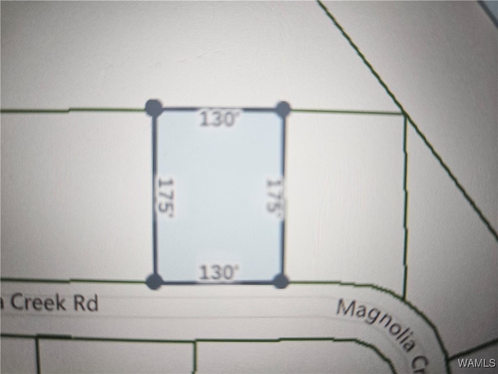 Lot 4 Magnolia Creek Rd, Gordo, Alabama image 2