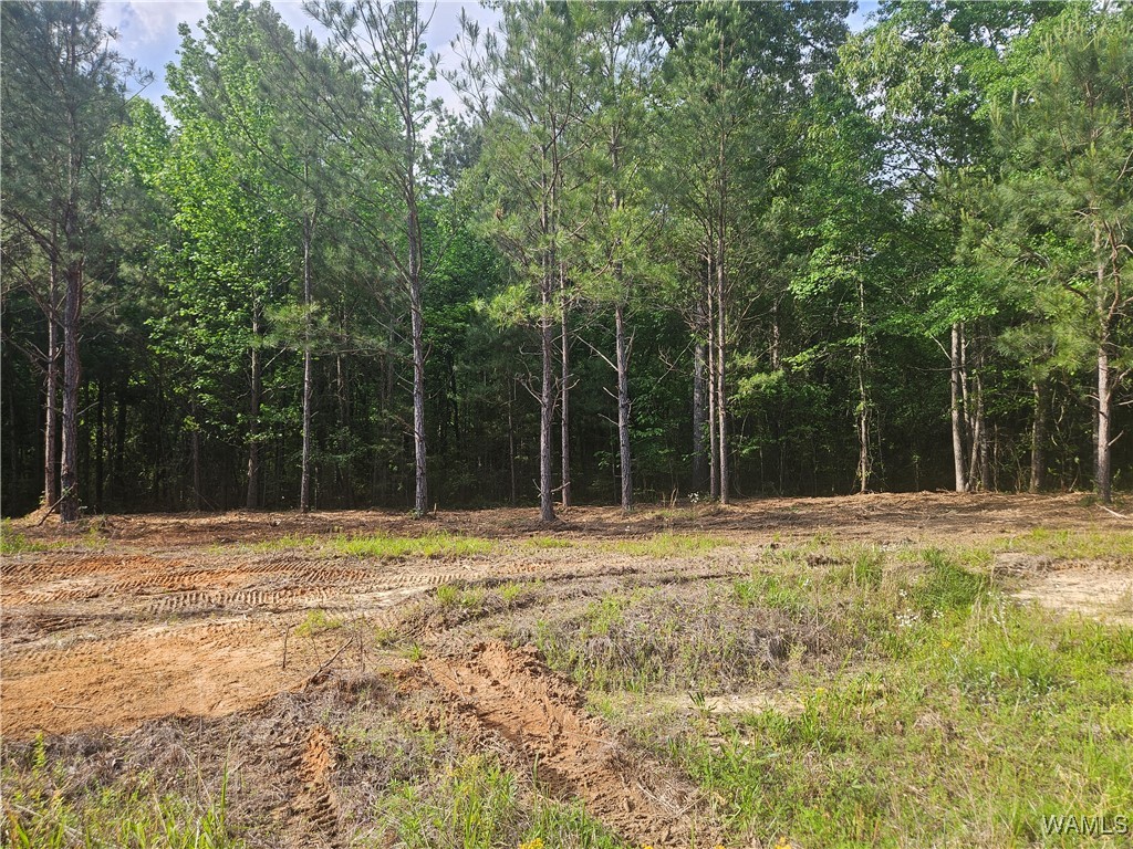 Lot 4 Magnolia Creek Rd, Gordo, Alabama image 1