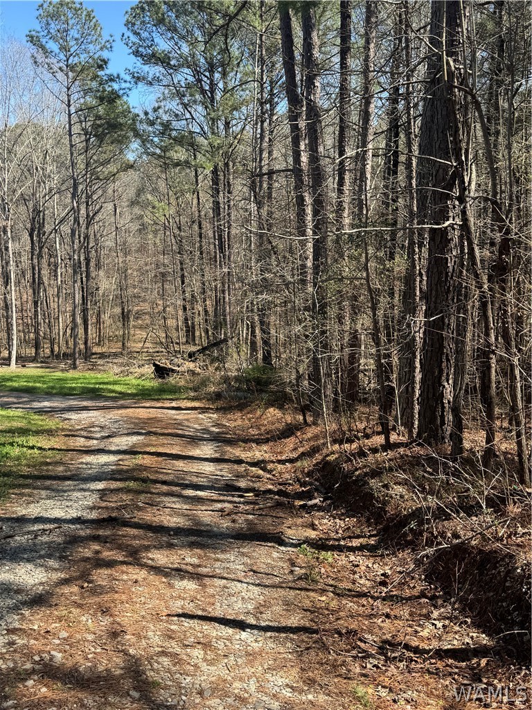 Photo 1 of 1 — 00 Christina Drive, McCalla, AL 35111