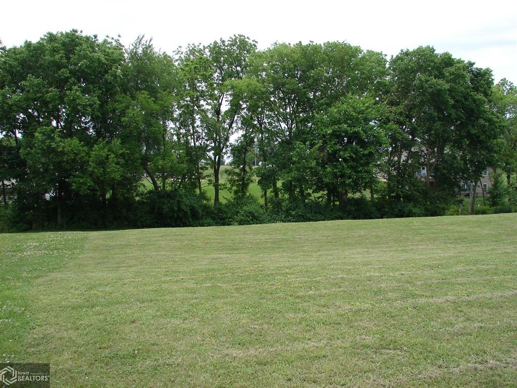 Photo of 907 S Williams Street, Mount Pleasant, IA 52641 (MLS # 6218713)