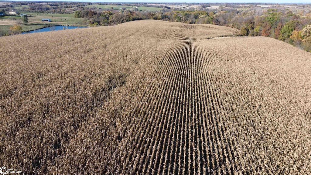 Photo of 52 A Scarlet Avenue, Bloomfield, IA 52537 (MLS # 6333389)