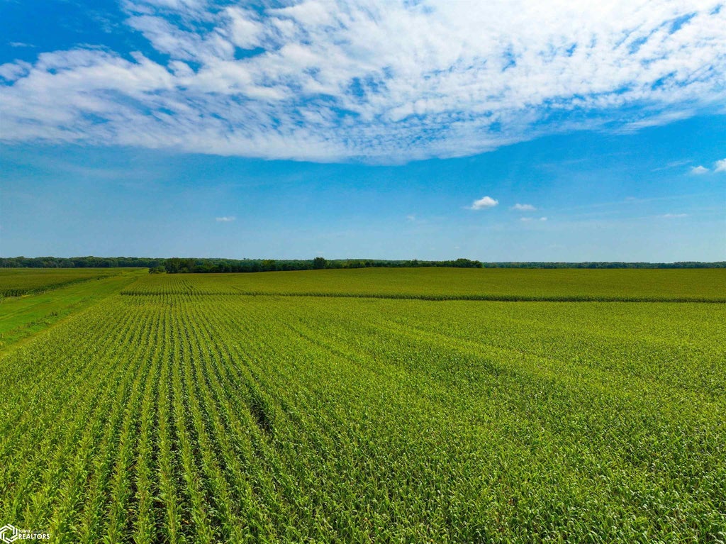 Photo of Quonset Avenue, Rowley, IA 52329 (MLS # 6342349)