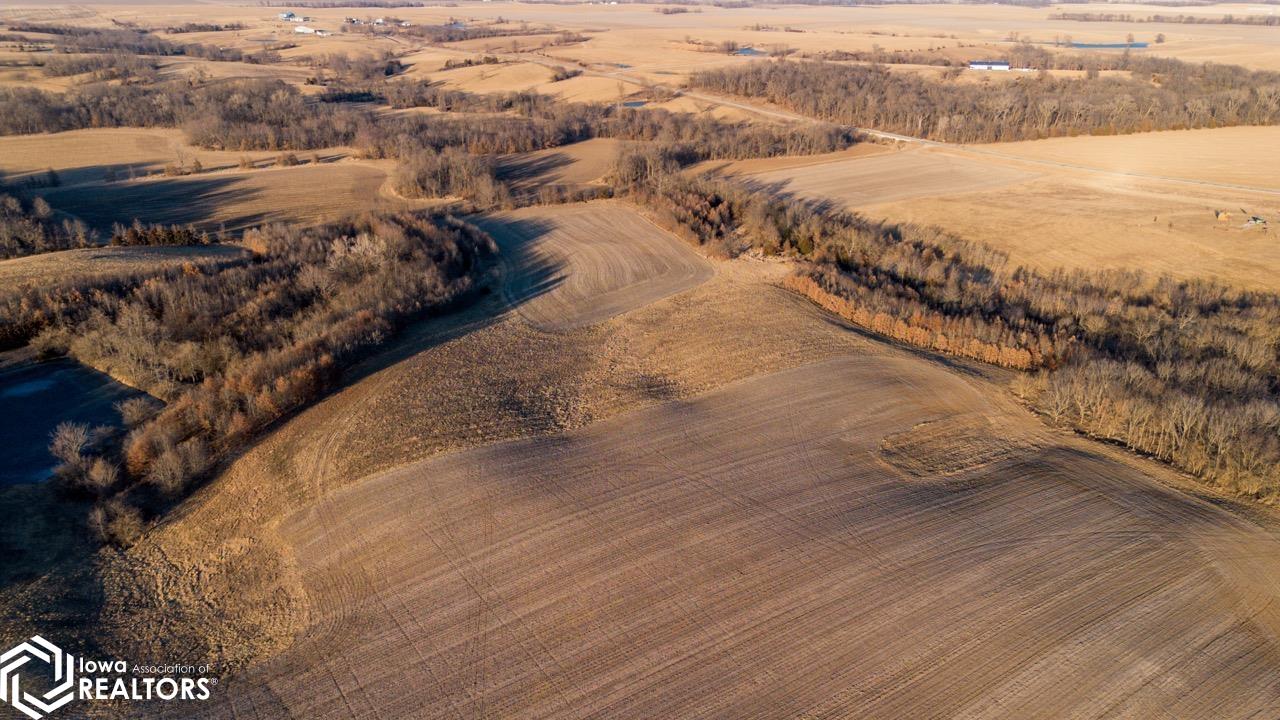 0000 Nuthatch Avenue