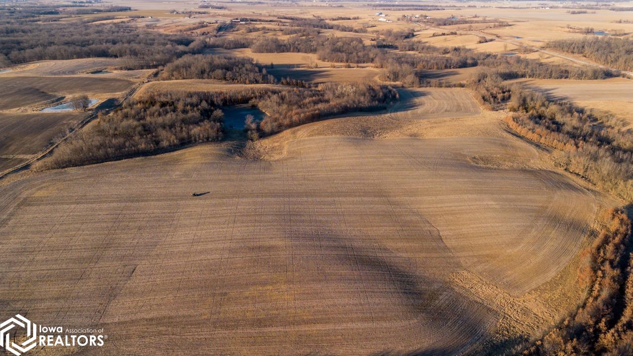 0000 Nuthatch Avenue