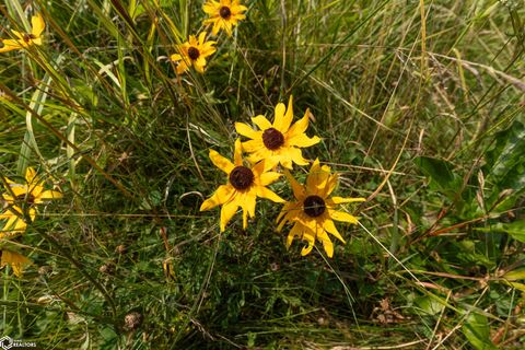 Tiny photo for TBD Pin Oaks Lane, Mount Pleasant, IA 52641 (MLS # 6330698)