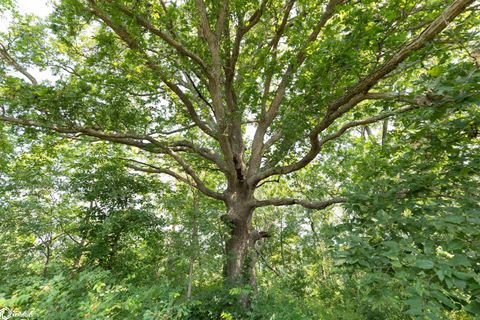 Tiny photo for TBD Pin Oaks Lane, Mount Pleasant, IA 52641 (MLS # 6330698)