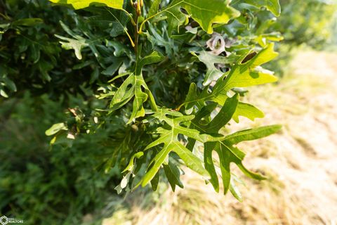 Tiny photo for TBD Pin Oaks Lane, Mount Pleasant, IA 52641 (MLS # 6330698)