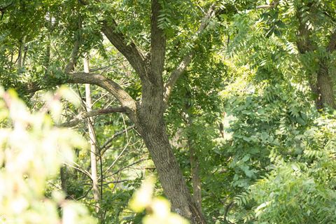 Tiny photo for TBD Pin Oaks Lane, Mount Pleasant, IA 52641 (MLS # 6330698)