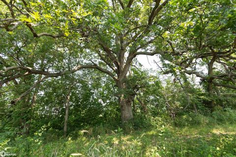 Tiny photo for TBD Pin Oaks Lane, Mount Pleasant, IA 52641 (MLS # 6330698)