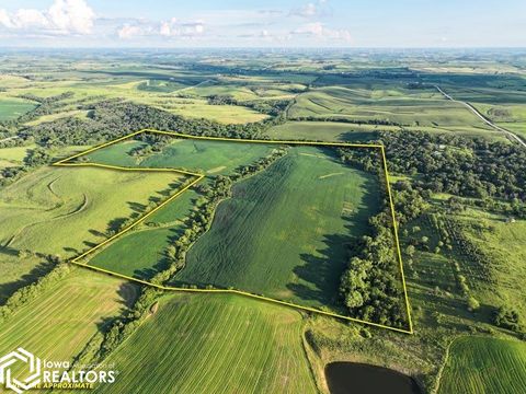 1878 Co Rd. P25 Stuart IA 50250