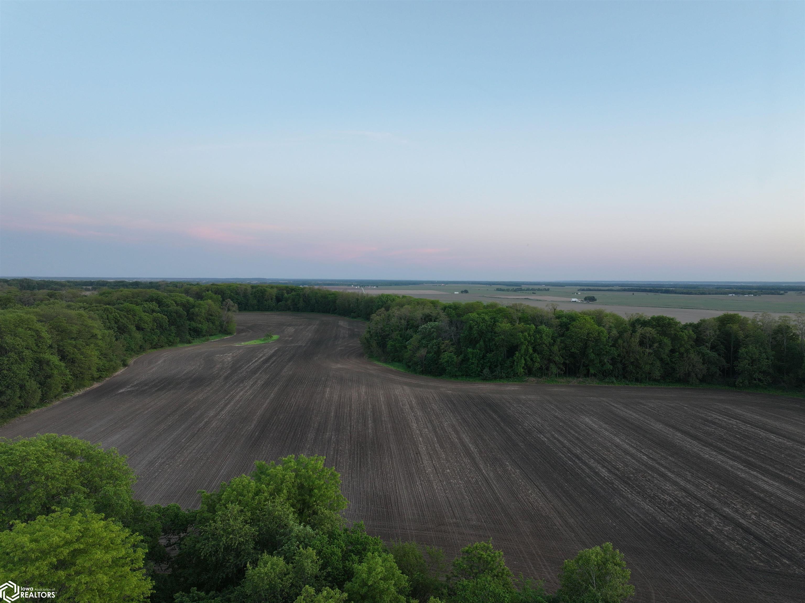 Bluff Road