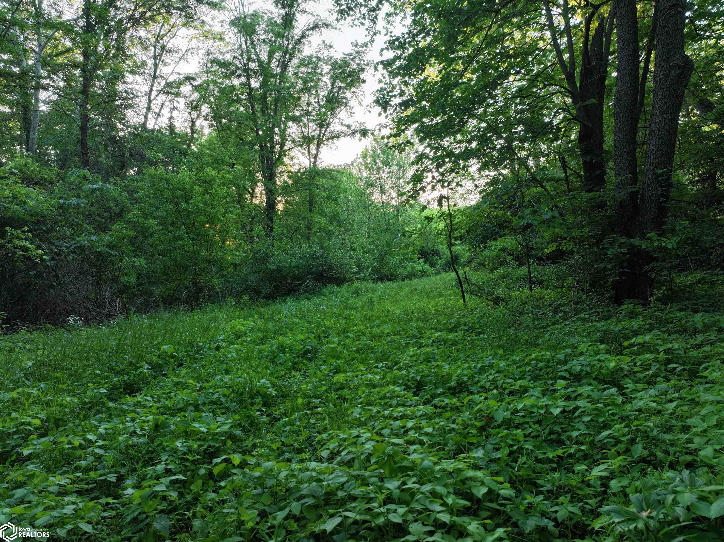 Bluff Road