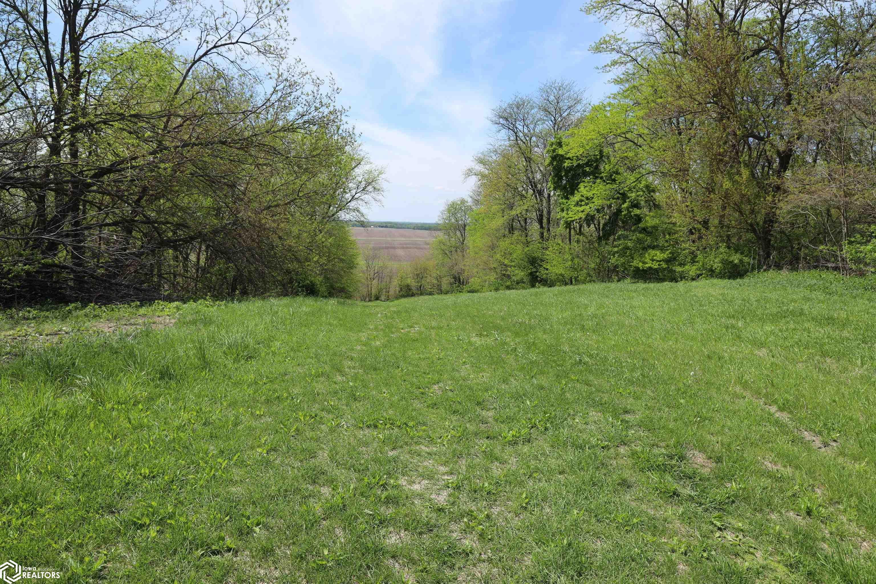 Bluff Road