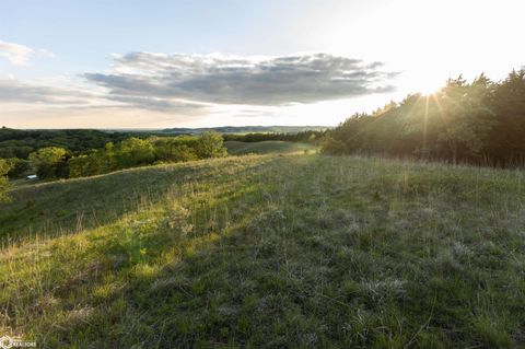 20745 L20 Castana IA 51010