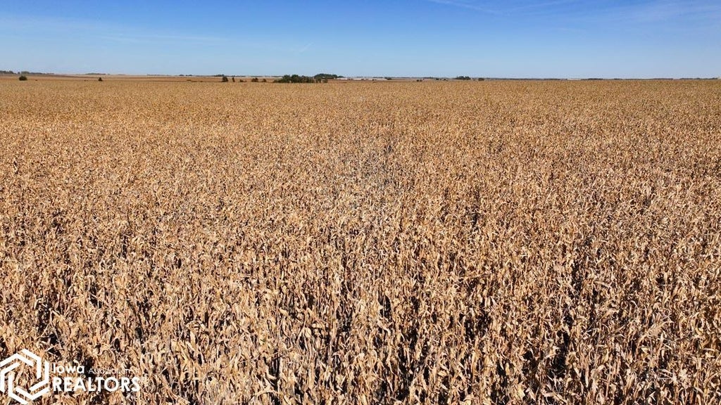 Photo of 14018 150th St., Elma, IA 50628 (MLS # 6343524)