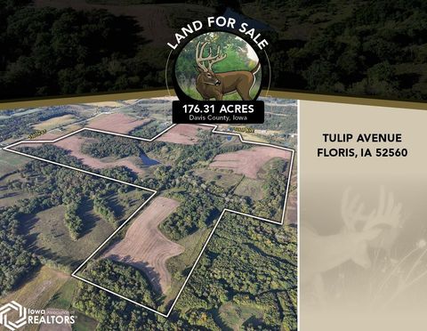 Tulip Avenue Floris IA 52560