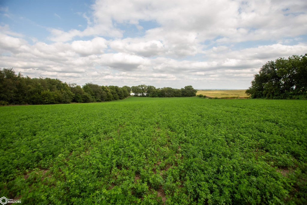 Photo of TBD Main Street, Sidney, IA 51652 (MLS # 6343517)