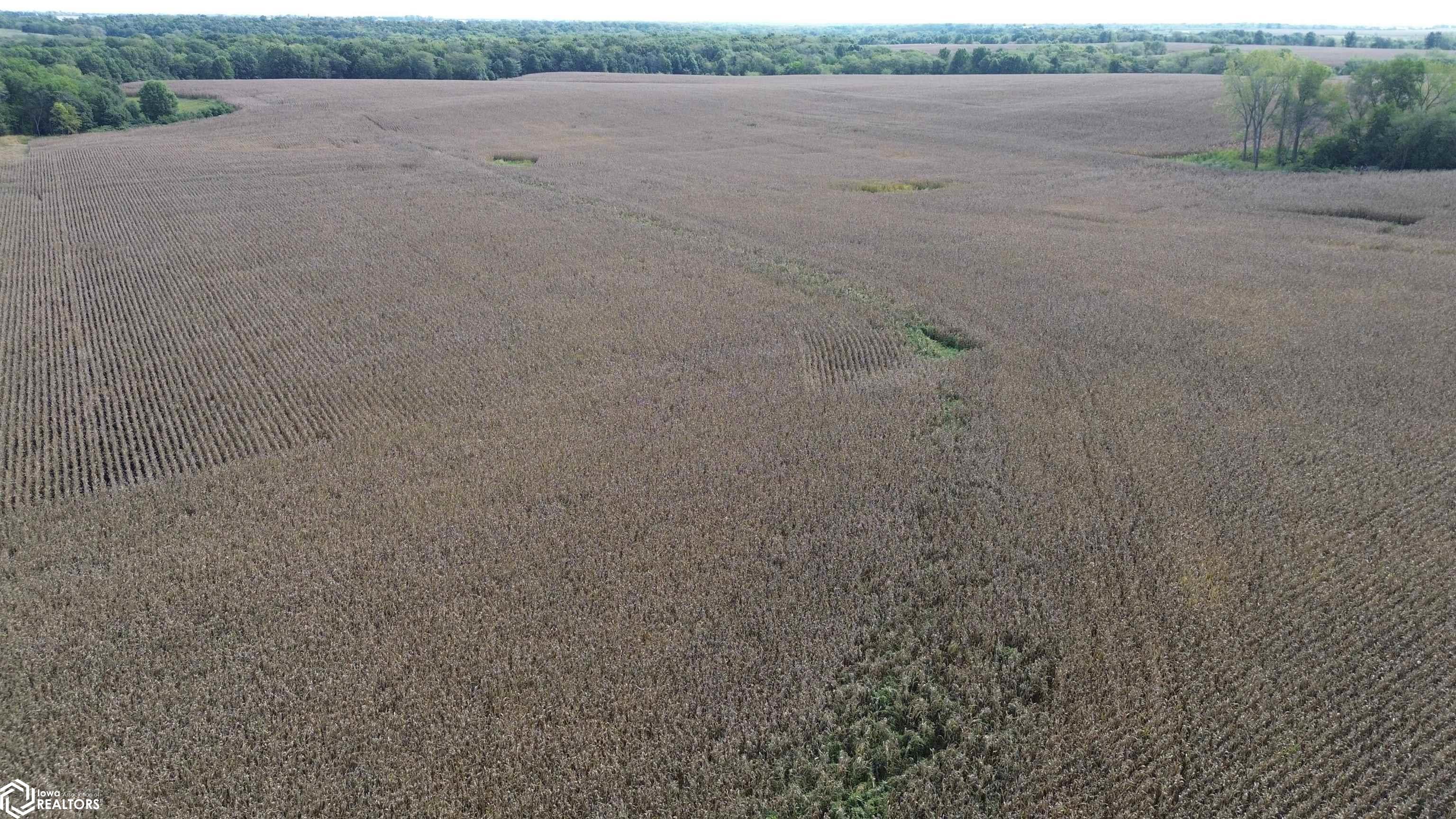 322 A Nuthatch Avenue