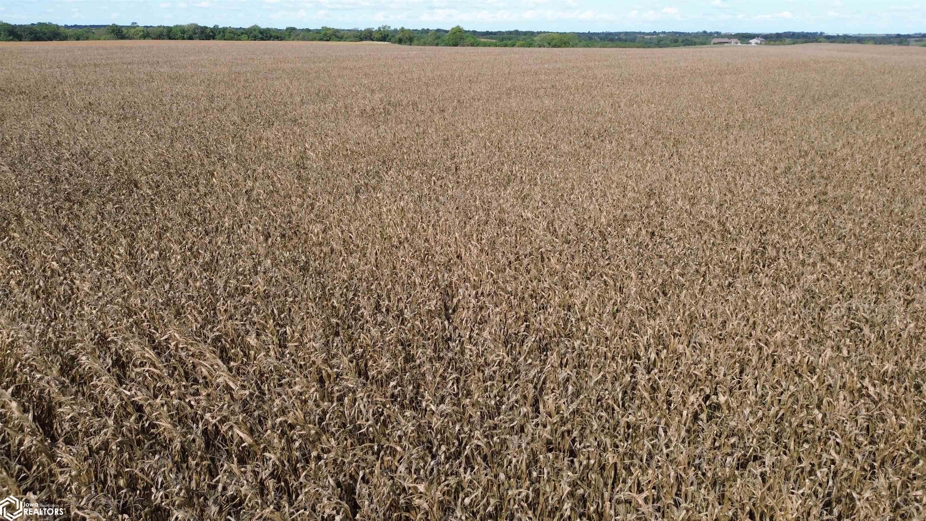 322 A Nuthatch Avenue