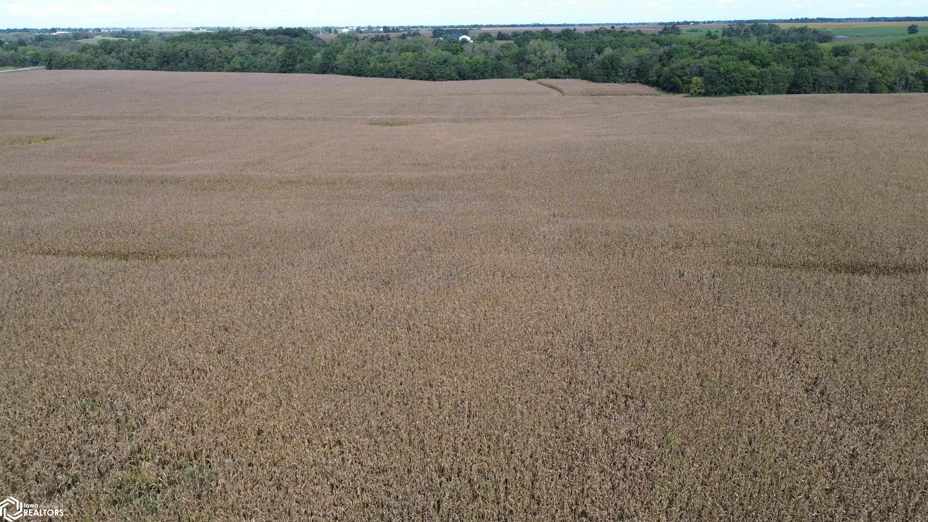 322 A Nuthatch Avenue