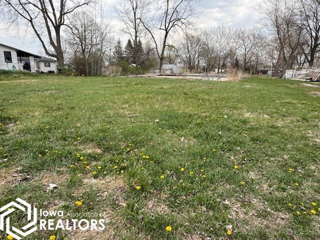 Photo of 206 N Main Street, Salem, IA 52649 (MLS # 6337111)