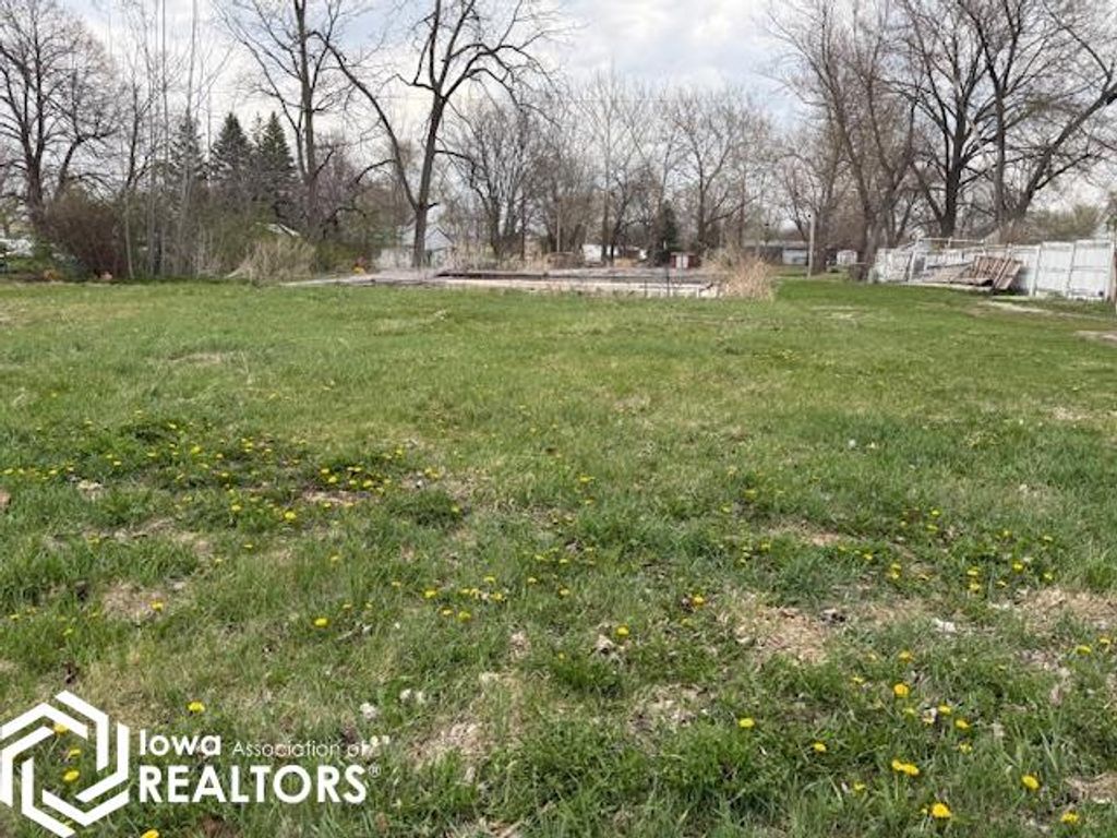 Photo of 206 N Main Street, Salem, IA 52649 (MLS # 6337111)