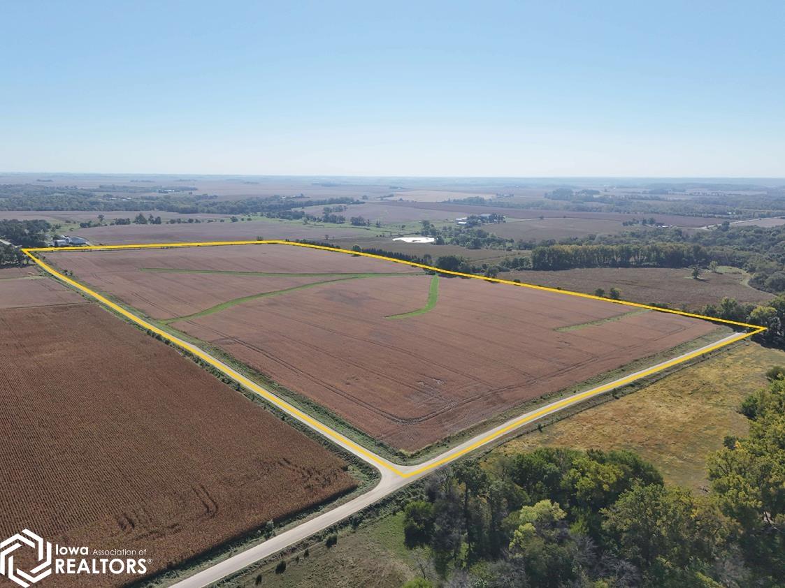 185th St. at Dixon Ave.