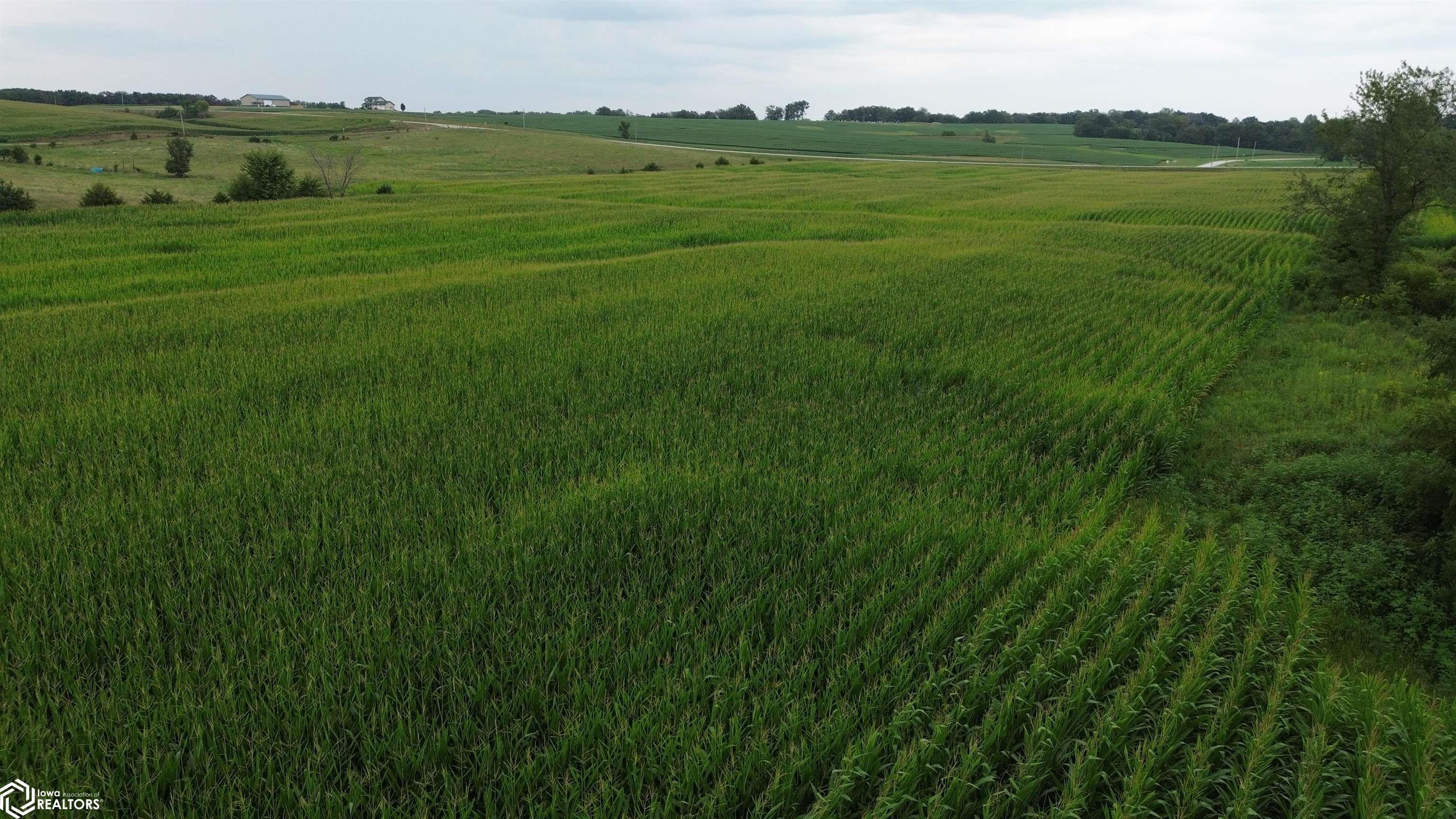 21 Acres Timber Avenue