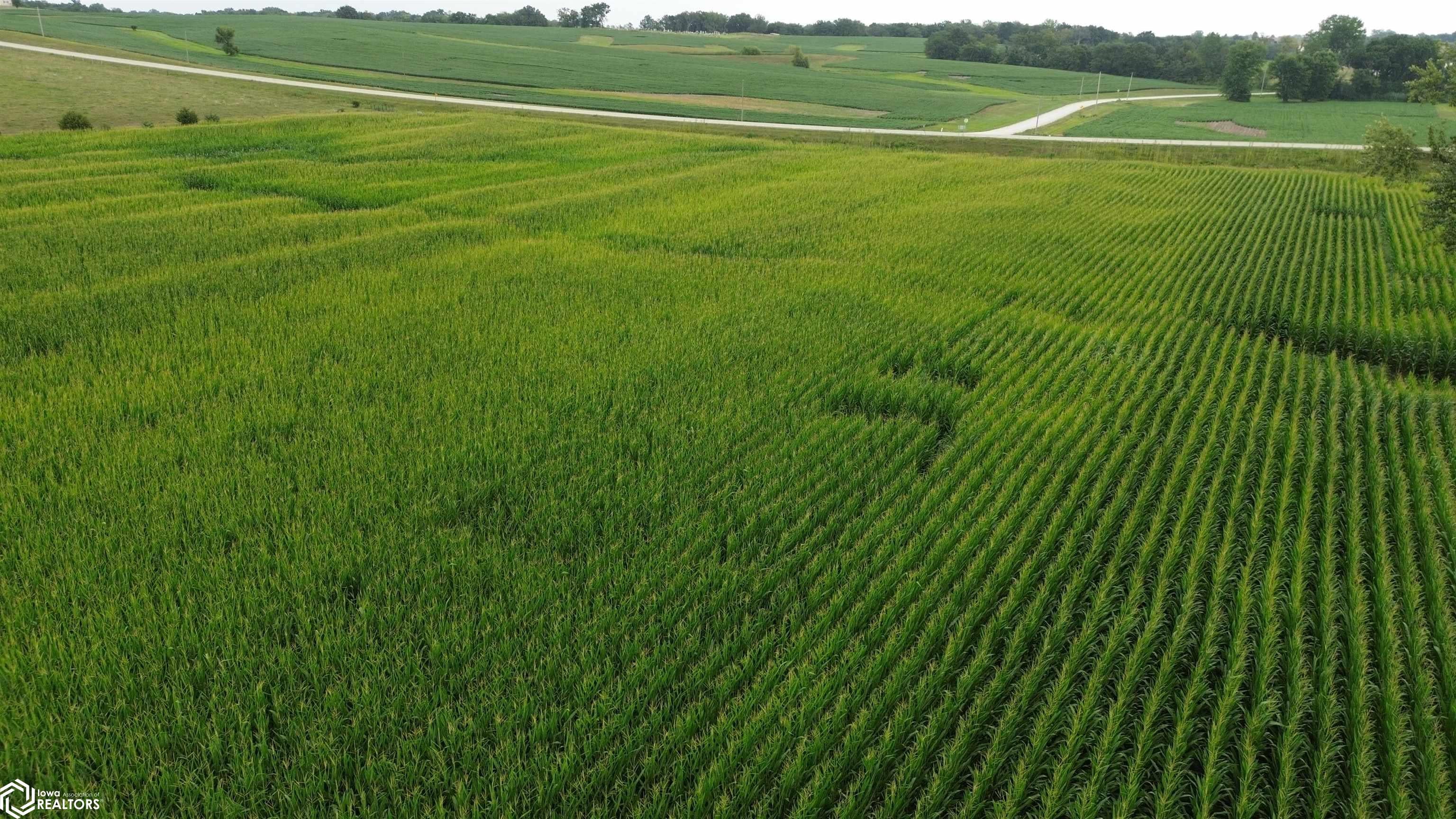 21 Acres Timber Avenue