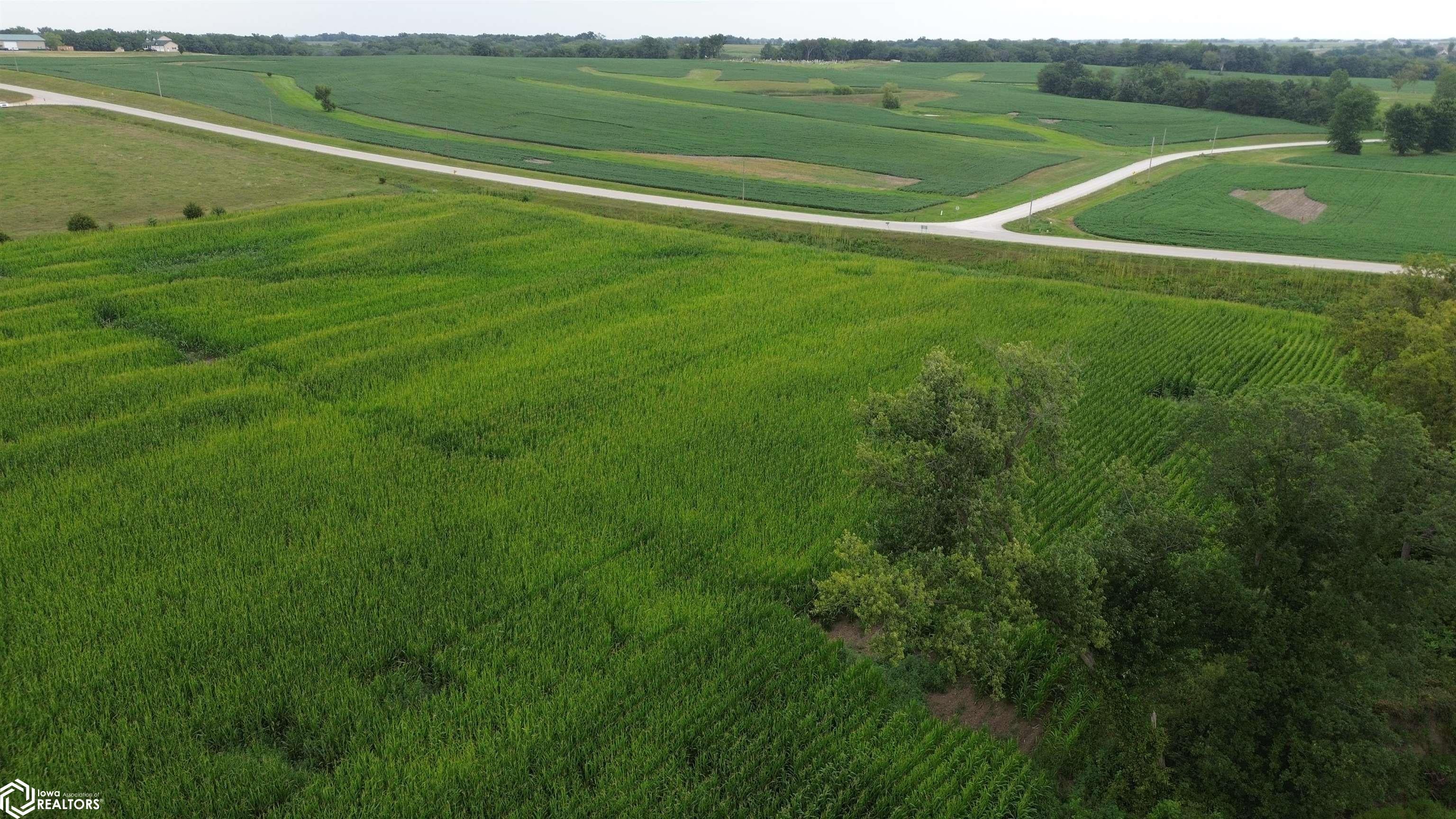 21 Acres Timber Avenue