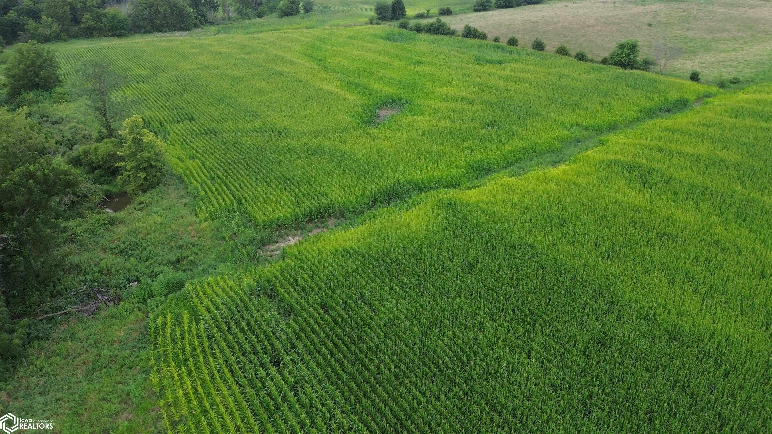 21 Acres Timber Avenue