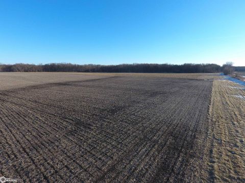 76.5 acres T Avenue Buckingham IA 50612