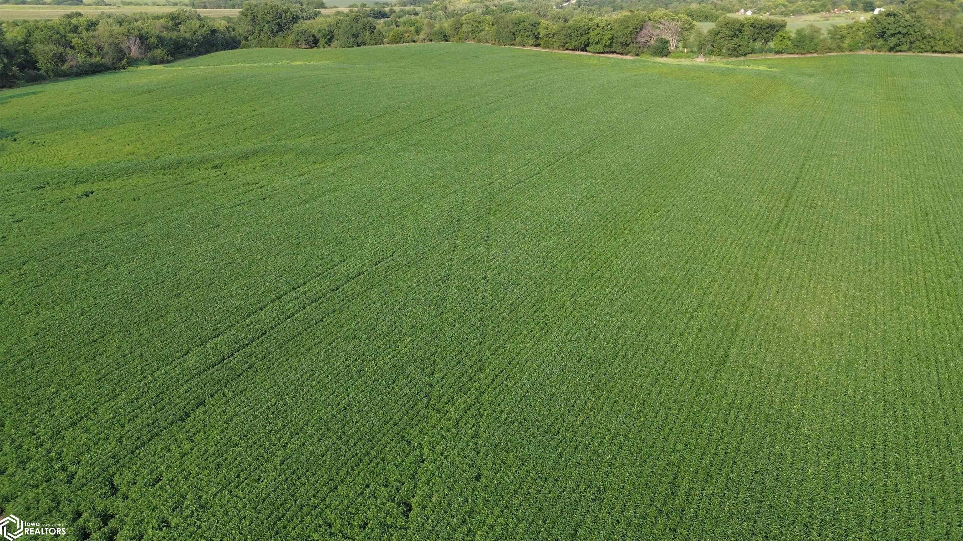 109 Acres 200th Avenue