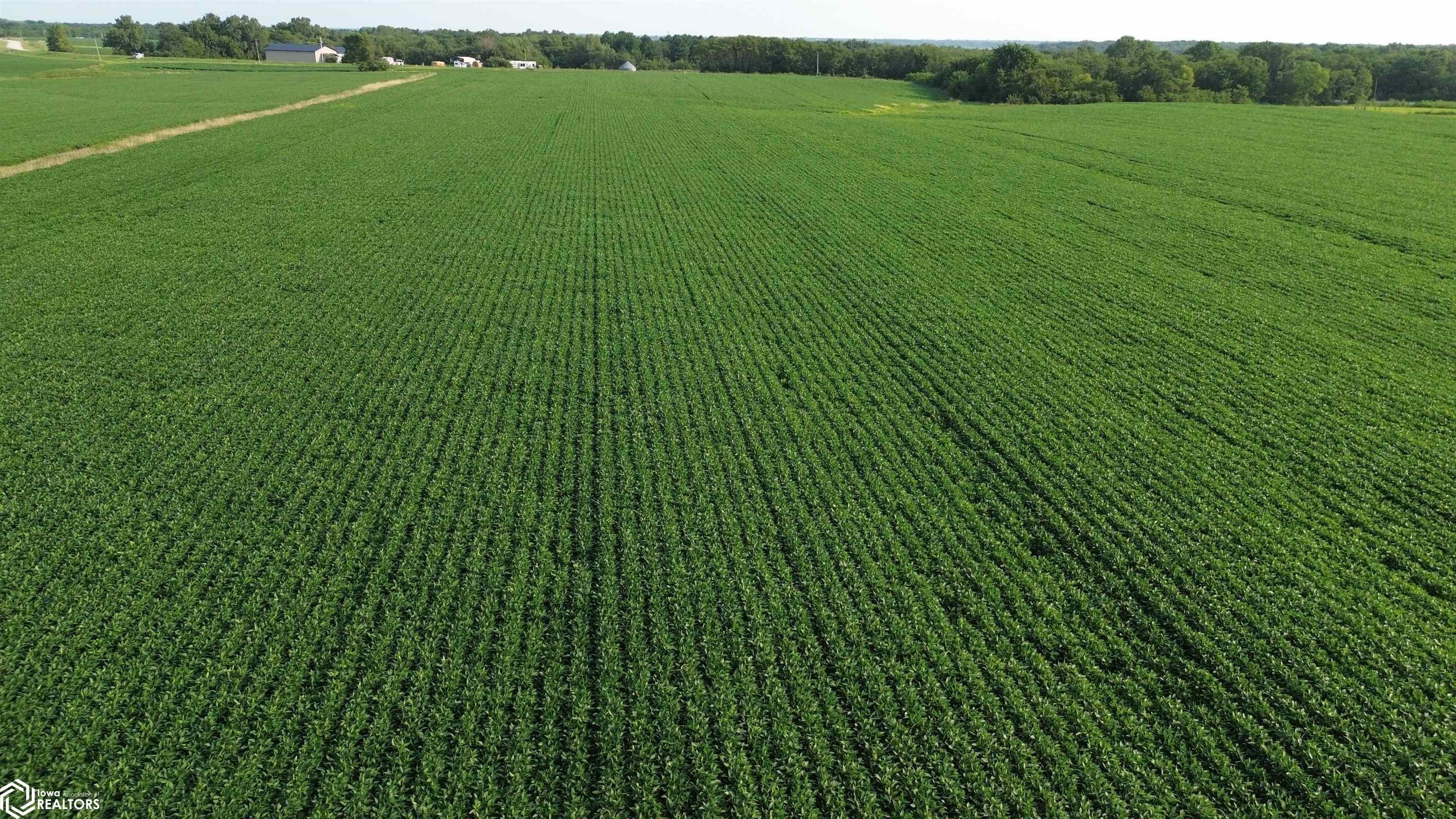 109 Acres 200th Avenue