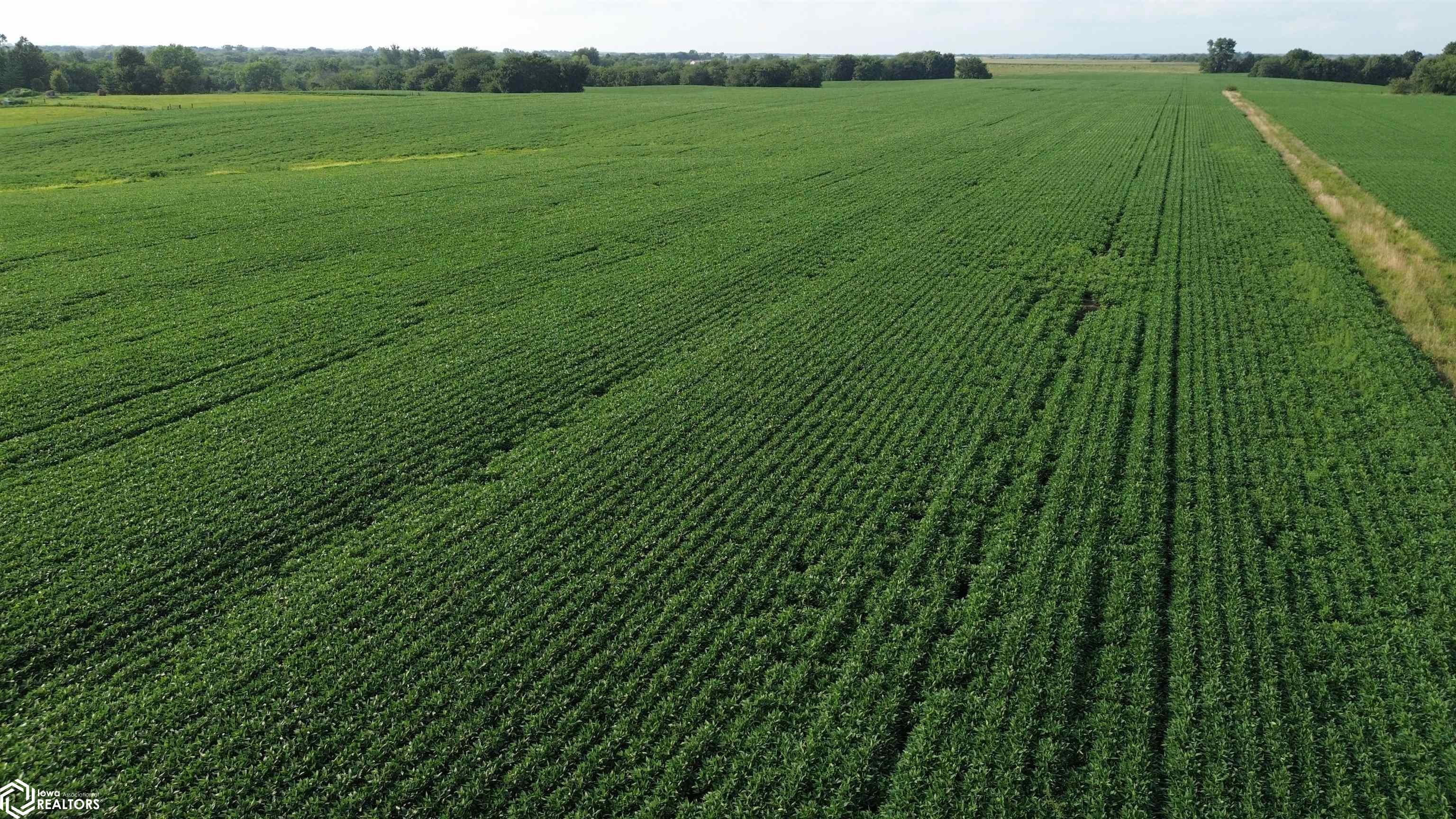 109 Acres 200th Avenue